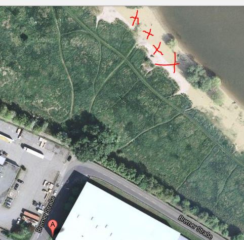 DusforBeach.JPG