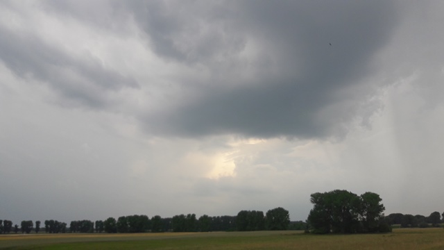 20170615_161701_1.jpg
